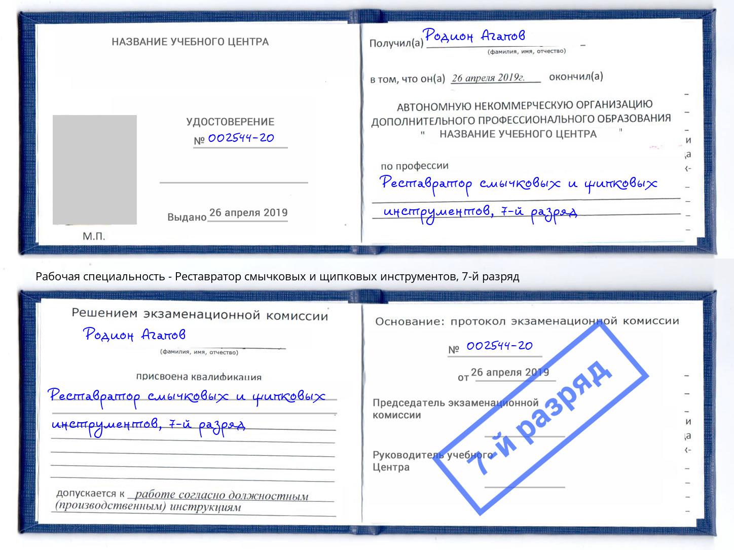 корочка 7-й разряд Реставратор смычковых и щипковых инструментов Брянск