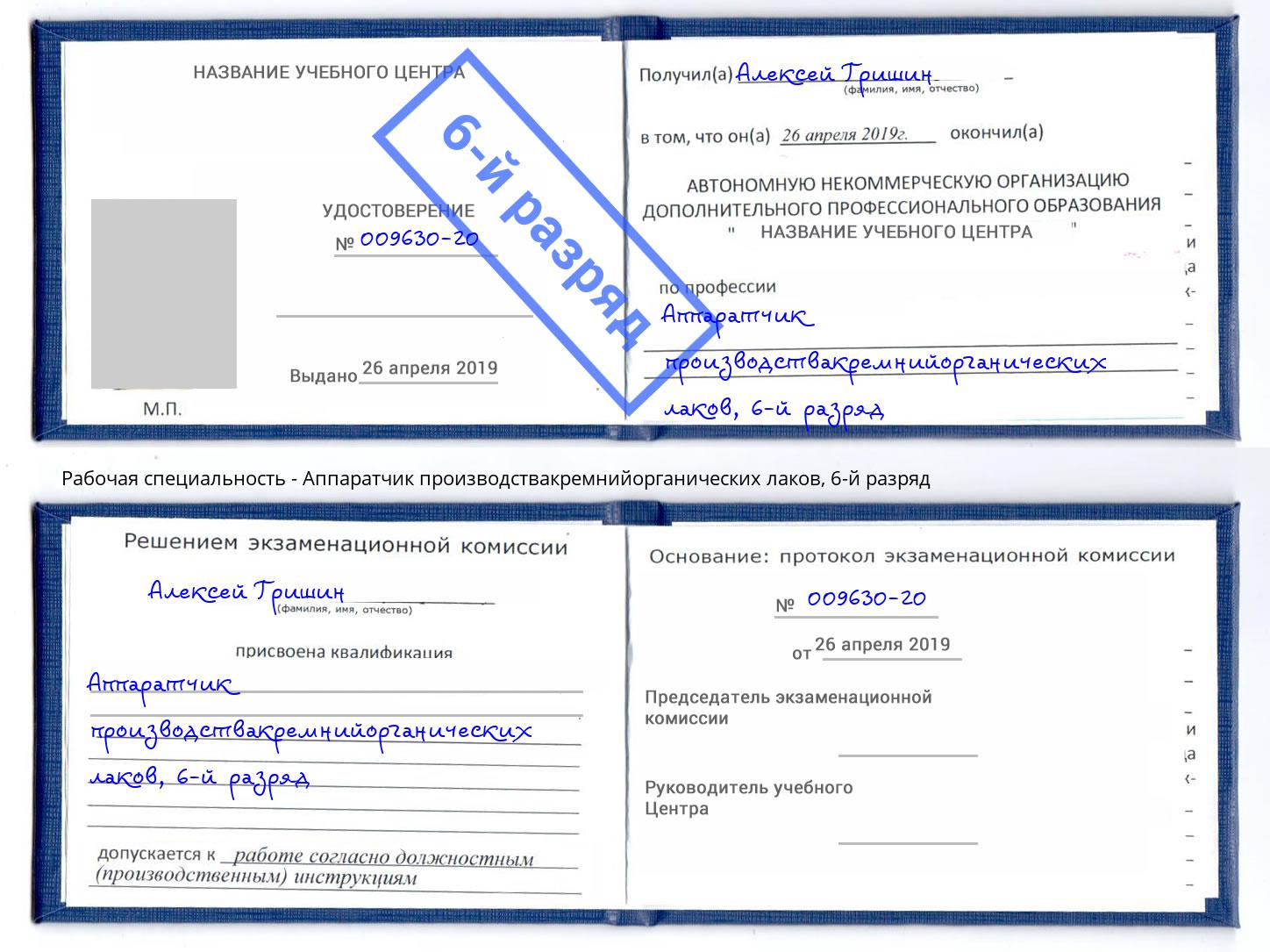 корочка 6-й разряд Аппаратчик производствакремнийорганических лаков Брянск